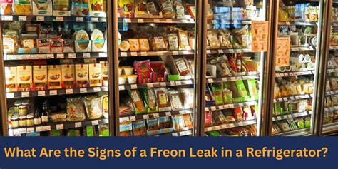 refrigerator leaking gas|Five Signs Your Refrigerator is Leaking Freon